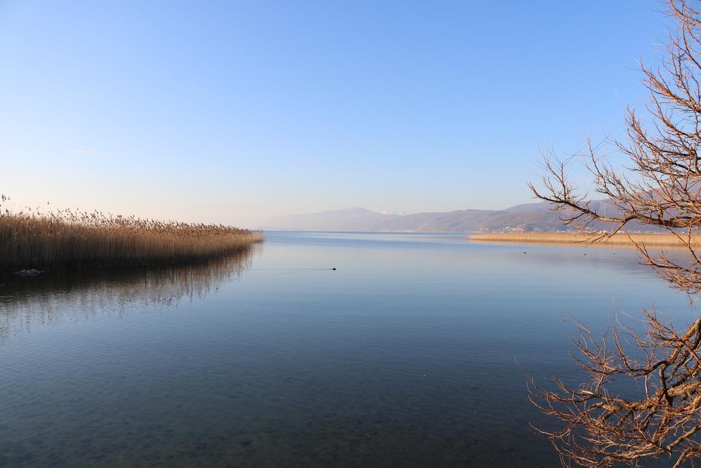 Hotel Montenegro Struga Dış mekan fotoğraf
